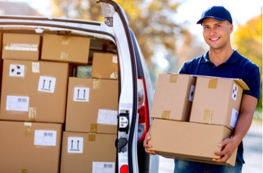 nordsafelogistics.com